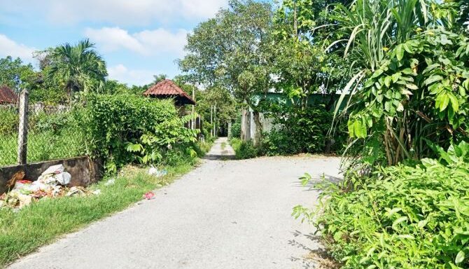 Bán nhà riêng Xã Bình Mỹ – ảnh 3/5