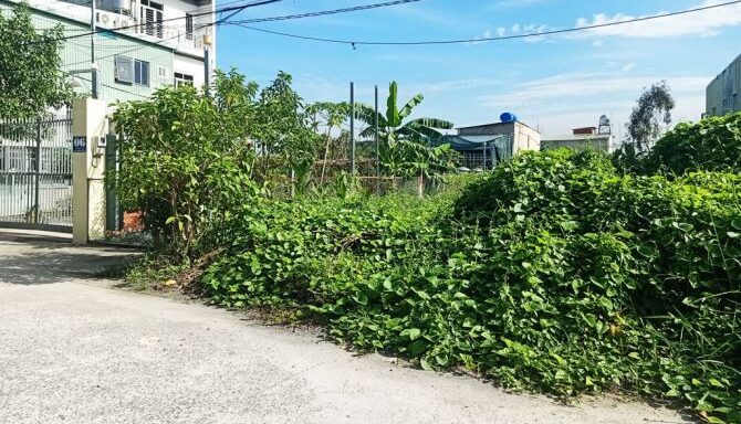 Bán đất thổ cư Xã Bình Mỹ – ảnh 3/5