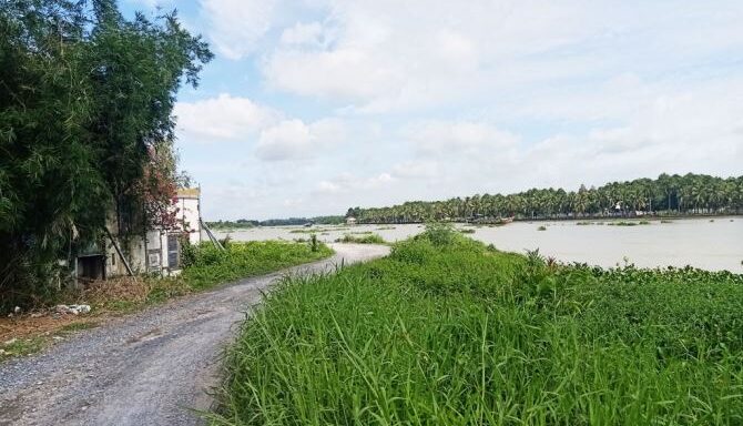 Bán đất thổ cư Xã Bình Mỹ – ảnh 2/5