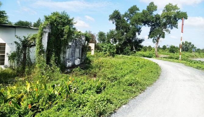 Bán đất thổ cư Xã Bình Mỹ – ảnh 3/5