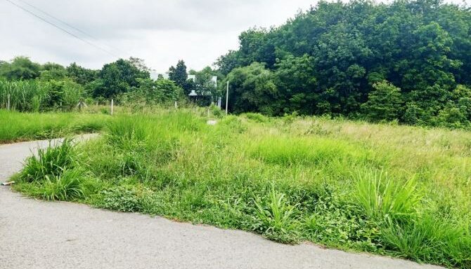 Bán đất thổ cư Xã Phú Hòa Đông – ảnh 4/5