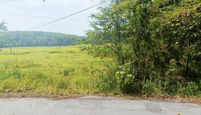 Bán đất thổ cư Xã Nhuận Đức – ảnh 2/6