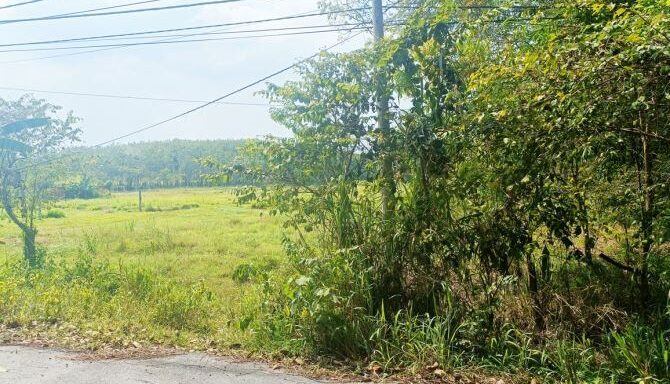 Bán đất thổ cư Xã Nhuận Đức – ảnh 3/6