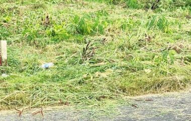 Bán đất thổ cư 156m2 xã An Nhơn Tây Củ Chi, 1/ Phạm Thị Gắng