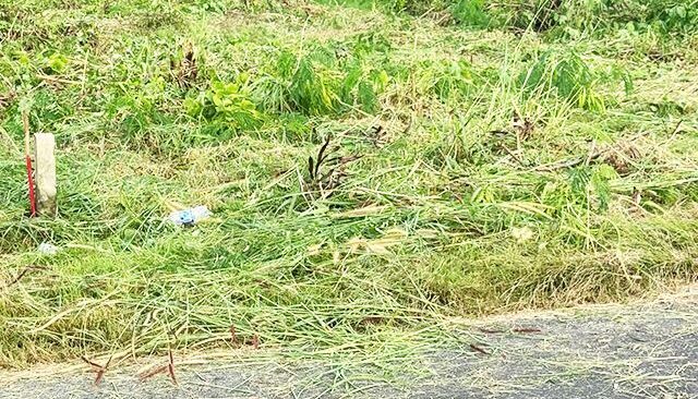 Bán đất thổ cư Xã An Nhơn Tây – ảnh 1/3