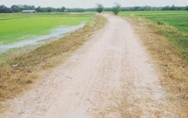 Bán đất vườn 2 mặt tiền 1/ đường Phú Thuận, xã Thái Mỹ, Củ Chi 2942m2