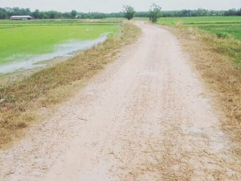 Bán đất vườn 2 mặt tiền 1/ đường Phú Thuận, xã Thái Mỹ, Củ Chi 2942m2