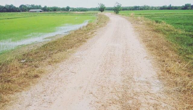 Bán đất nông nghiệp, đất vườn Xã Thái Mỹ – ảnh 1/3