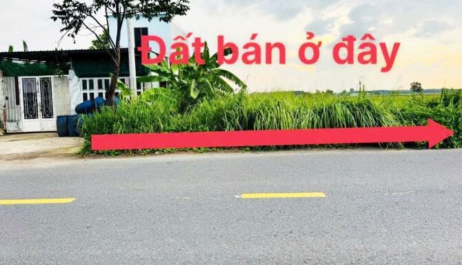 Bán đất thổ cư Xã Thái Mỹ – ảnh 1/3