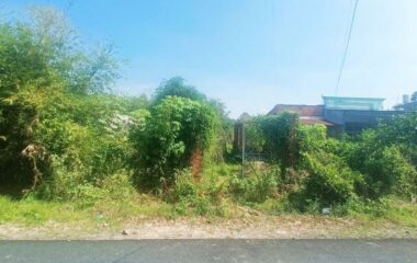 Nhà vườn 2 mặt tiền view kênh đường Huỳnh Thị Kiểu – 1446m2 – 28×58 – 100m2 thổ cư – xã Trung Lập Thượng – Củ Chi