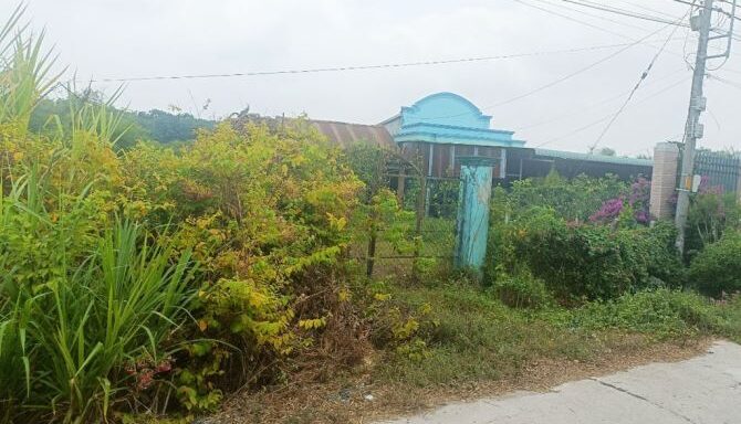 Bán nhà mặt tiền Xã Thái Mỹ – ảnh 2/6