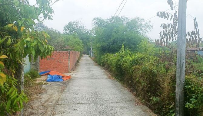 Bán nhà mặt tiền Xã Thái Mỹ – ảnh 4/6