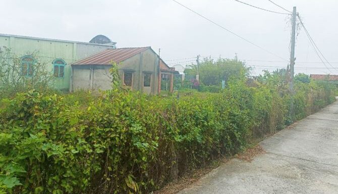 Bán nhà mặt tiền Xã Thái Mỹ – ảnh 6/6