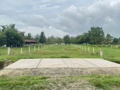 Bán đất nông nghiệp 694m2 xã Nhuận Đức Củ Chi, 1/ Trần Thị Chọn