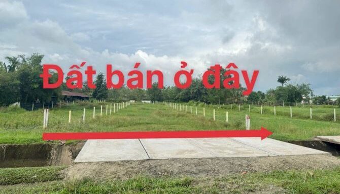 Bán đất nông nghiệp, đất vườn Xã Nhuận Đức – ảnh 2/6