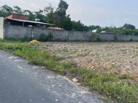 Bán đất nông nghiệp 7835m2 đường Phan Thị Vẽ, An Nhơn Tây, Củ Chi