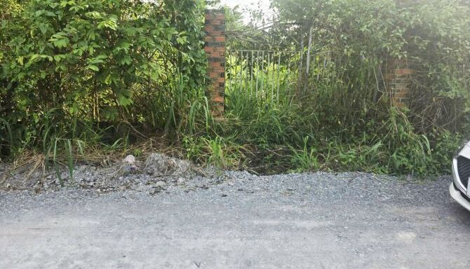 Bán đất thổ cư Xã Tân An Hội – ảnh 1/5