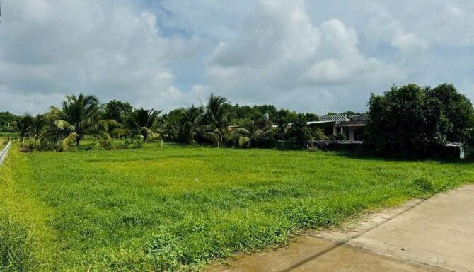 Bán đất thổ cư Xã Thái Mỹ – ảnh 3/6