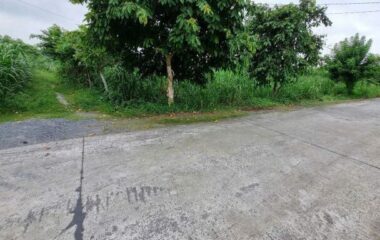Bán đất thổ cư xã Phú Hòa Đông, Củ Chi 955m2, 21×54