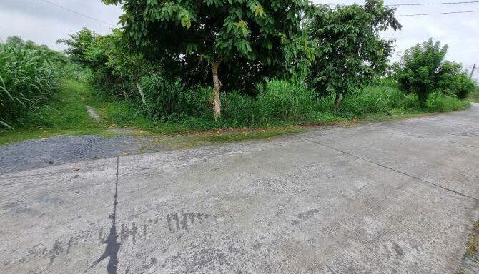 Bán đất thổ cư Xã Phú Hòa Đông – ảnh 1/3