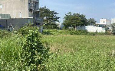 Bán đất nông nghiệp 2492m2 xã Đông Thạnh Hóc Môn