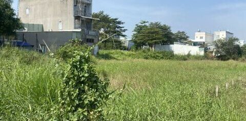 Bán đất nông nghiệp 2492m2 xã Đông Thạnh Hóc Môn