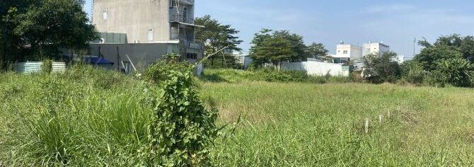 Bán đất nông nghiệp, đất vườn Hóc Môn (khu vực lân cận) – ảnh 1/4