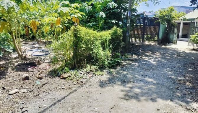 Bán đất thổ cư Xã Bình Mỹ – ảnh 2/3