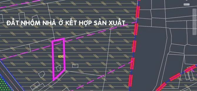 Bán đất thổ cư Xã Bình Mỹ – ảnh 3/3