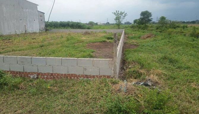 Bán đất thổ cư Xã Phú Hòa Đông – ảnh 4/5