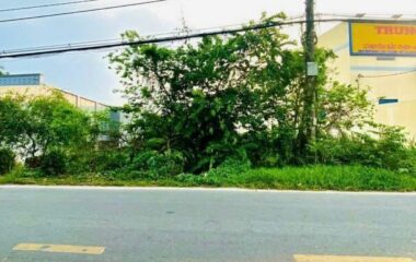 Bán đất thổ cư Thái Mỹ, Củ Chi 3000m2 19×105 nở hậu 62m