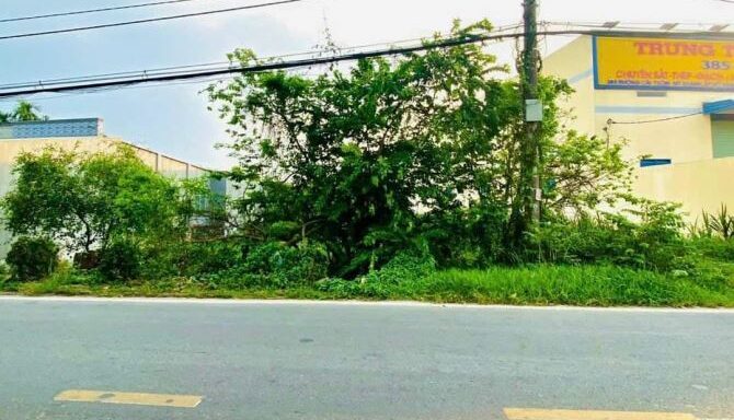 Bán đất thổ cư Xã Thái Mỹ – ảnh 1/6