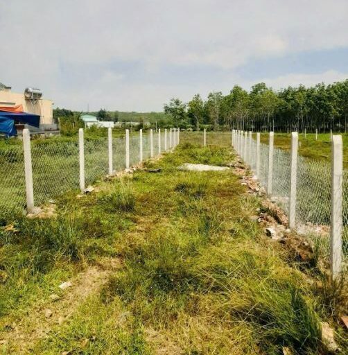 Bán đất thổ cư Xã Nhuận Đức – ảnh 1/4