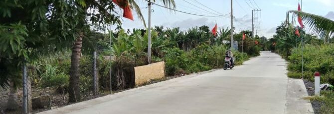 Bán đất thổ cư Xã Bình Mỹ – ảnh 5/6