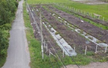 Bán đất vườn 2565m2 xã Phú Mỹ Hưng, Củ Chi, 85×30