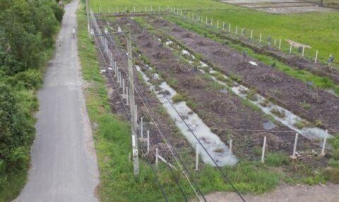 Bán đất vườn 2565m2 xã Phú Mỹ Hưng, Củ Chi, 85×30