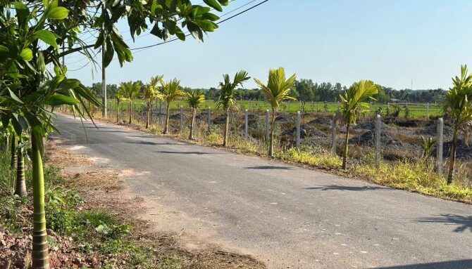 Bán đất nông nghiệp, đất vườn Xã An Nhơn Tây – ảnh 2/3