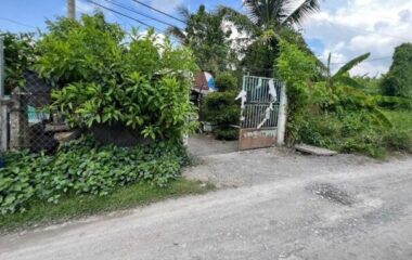 Bán nhà 1/ đường 156, xã Bình Mỹ, Củ Chi, 390m2, 6×48 nở hậu 9.4m