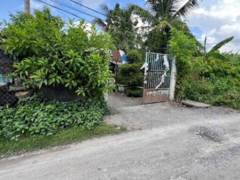 Bán nhà 1/ đường 156, xã Bình Mỹ, Củ Chi, 390m2, 6×48 nở hậu 9.4m