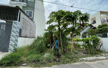 Đất 1/ ngắn Tỉnh Lộ 8 – 126m2 – 5×25 – 126m2 thổ cư – xã Hòa Phú – Củ Chi