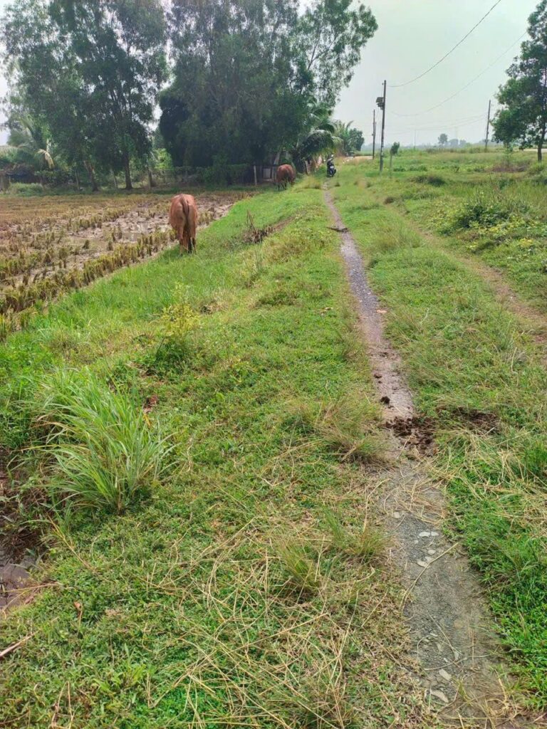Bán bất động sản khác Xã Thái Mỹ – ảnh 1/3
