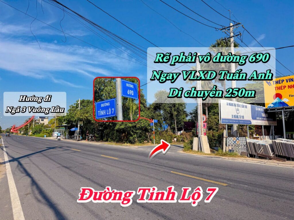 Bán đất nông nghiệp, đất vườn Xã Thái Mỹ – ảnh 3/5