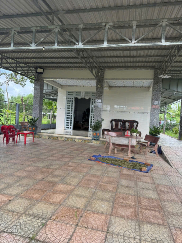 Bán nhà vườn Xã An Nhơn Tây – ảnh 2/13