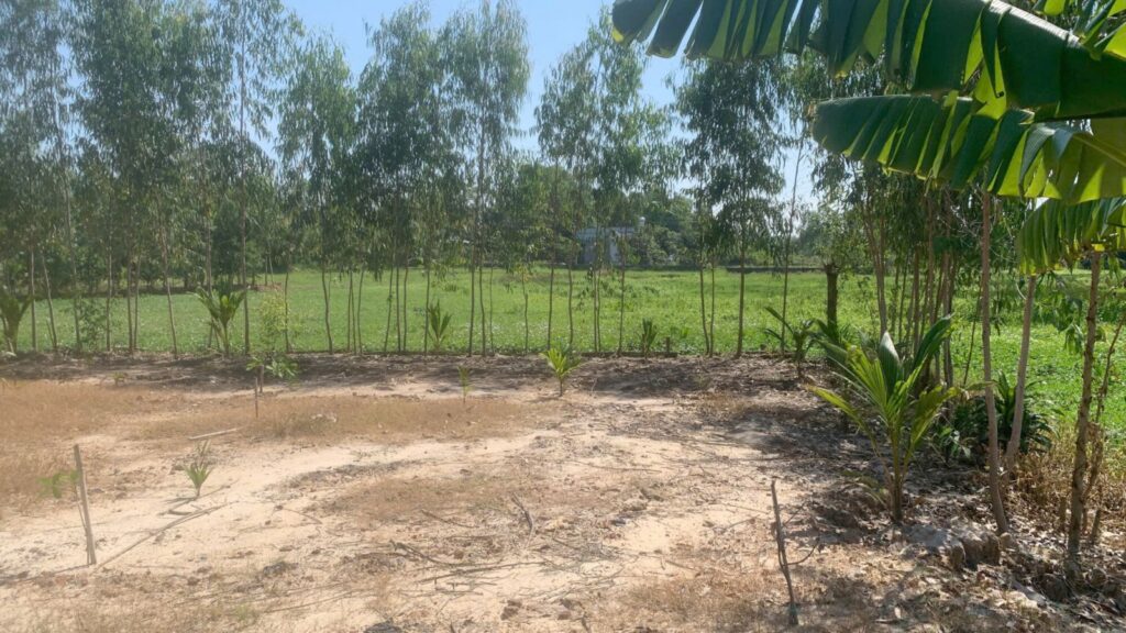 Bán đất thổ cư Xã Thái Mỹ – ảnh 3/4