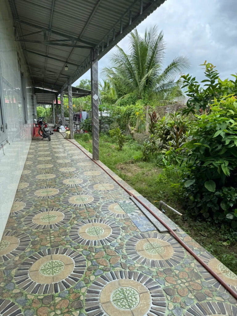 Bán nhà vườn Xã An Nhơn Tây – ảnh 3/13