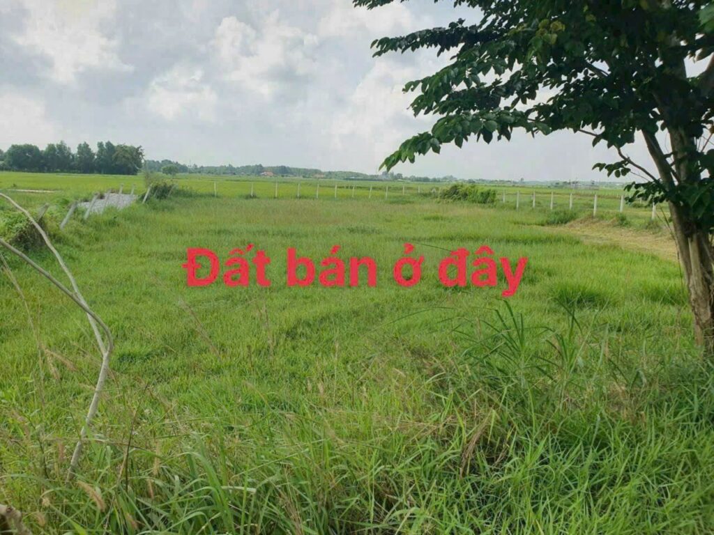 Bán đất thổ cư Xã Thái Mỹ – ảnh 3/4