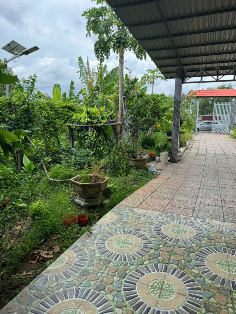 Bán nhà vườn Xã An Nhơn Tây – ảnh 4/13