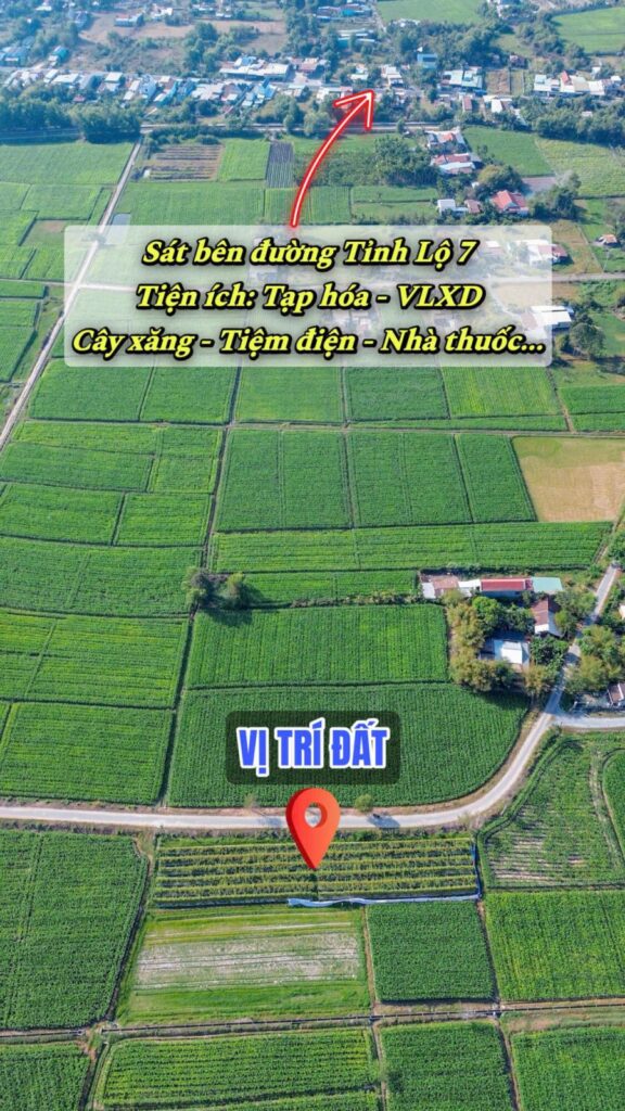 Bán đất nông nghiệp, đất vườn Xã Thái Mỹ – ảnh 4/5