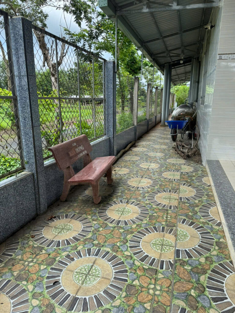 Bán nhà vườn Xã An Nhơn Tây – ảnh 6/13
