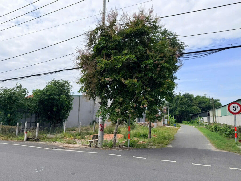 Bán đất thổ cư Xã Thái Mỹ – ảnh 6/6